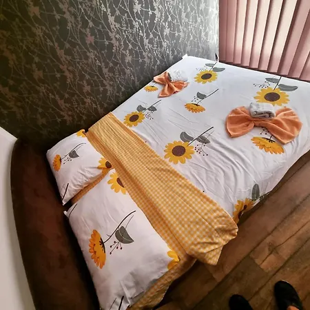 Ruzmici Appartement Divčibare
