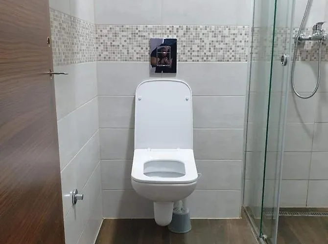 Ruzmici Apartment Divčibare